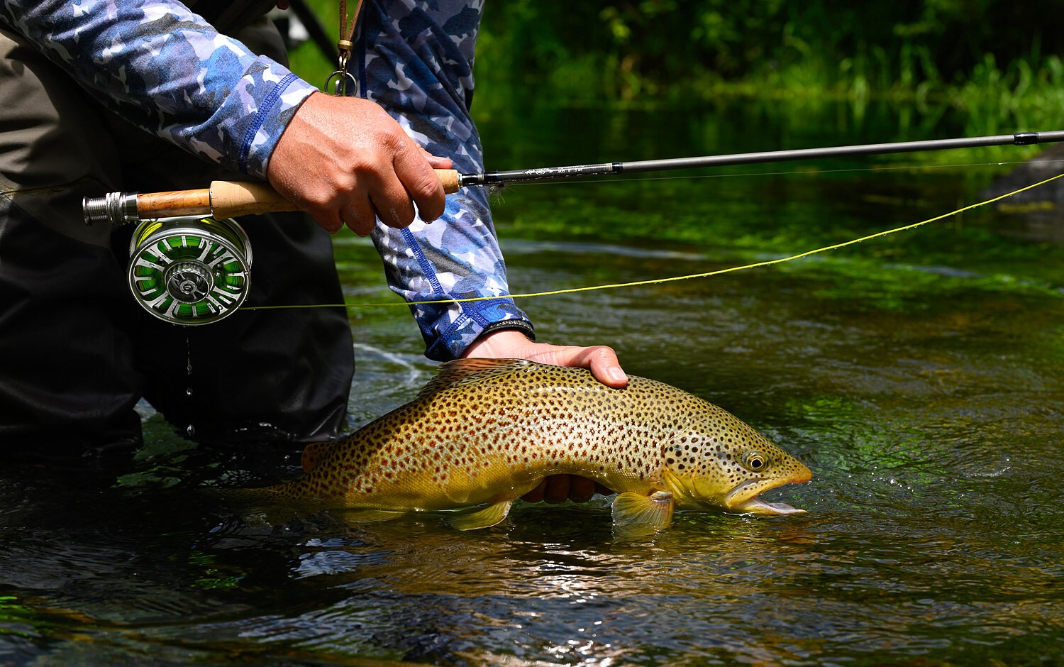 Fly Fishing