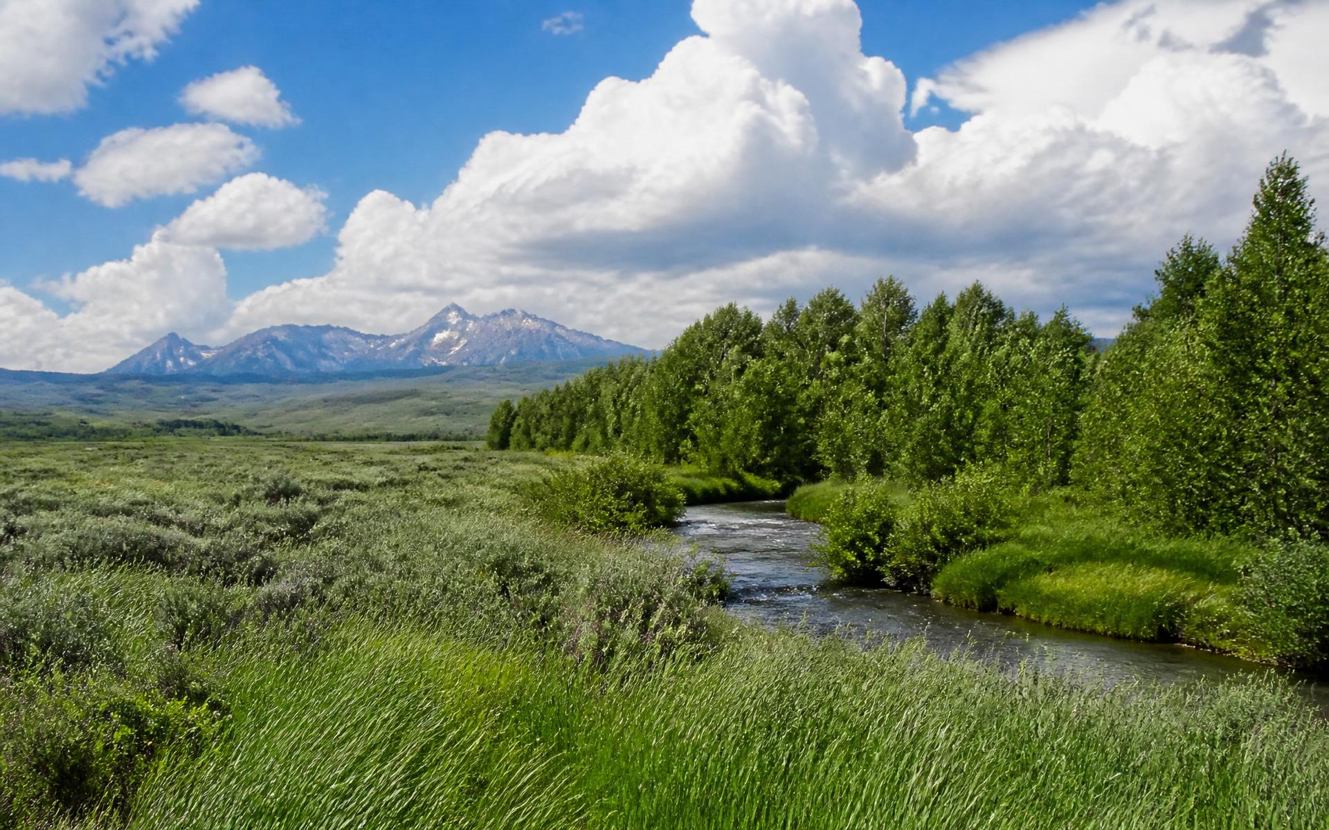 A green Utah high-country meadow with a creek and towering summer clouds
